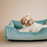 Vibrant Velvet Sleeper Dog Bed in Tiffany Blue - Chester & Lee