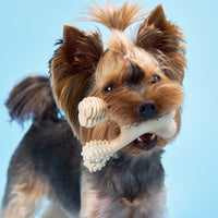 BetterBone LIGHT Chew Toy