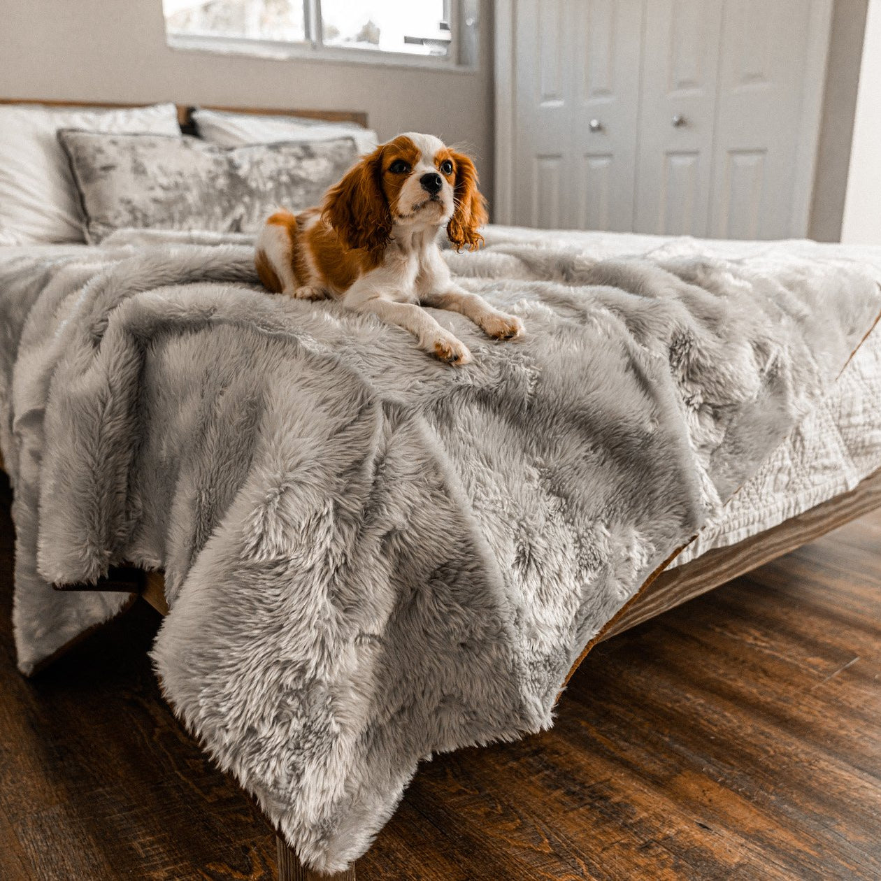 Light Gray Faux-Fur Waterproof Blanket - Summer Short Fur