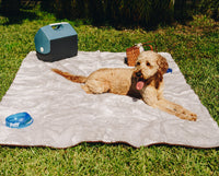 PupProtector™ Summer Short Fur Waterproof Throw Blanket - Grey