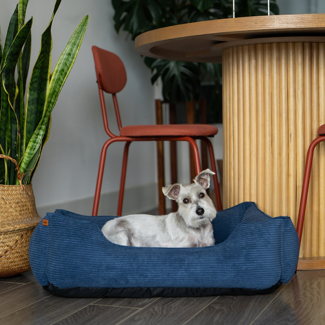Chester & Lee | Fancy Corduroy Sleeper Dog Bed