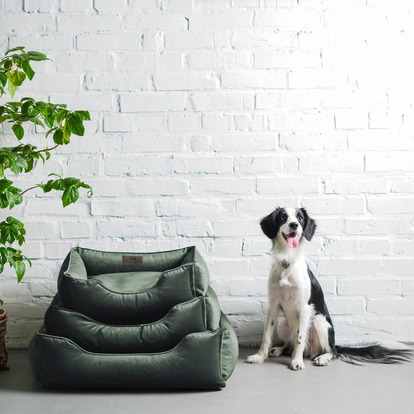 Classic Velvet Sleeper Dog Bed in Green - Chester & Lee