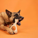 BetterBone HARD Chew Toy