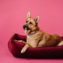 Vibrant Velvet Sleeper Dog Bed in Wine - Chester & Lee