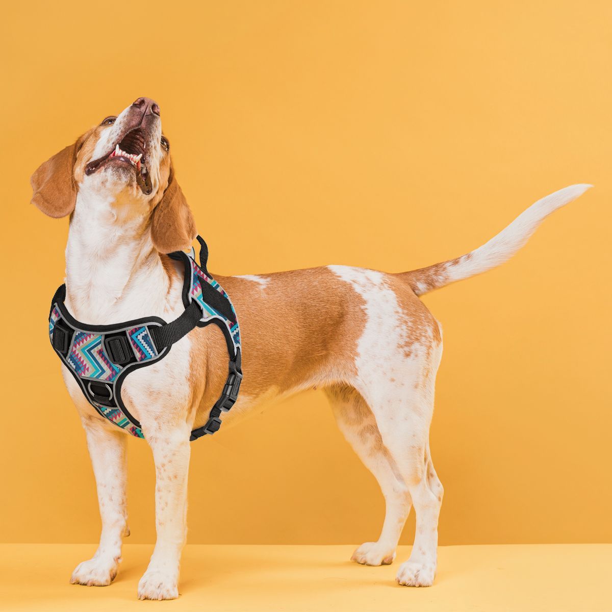 Quest No-Pull Dog Harness