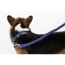 Comfort Microfiber Flat Dog Collar