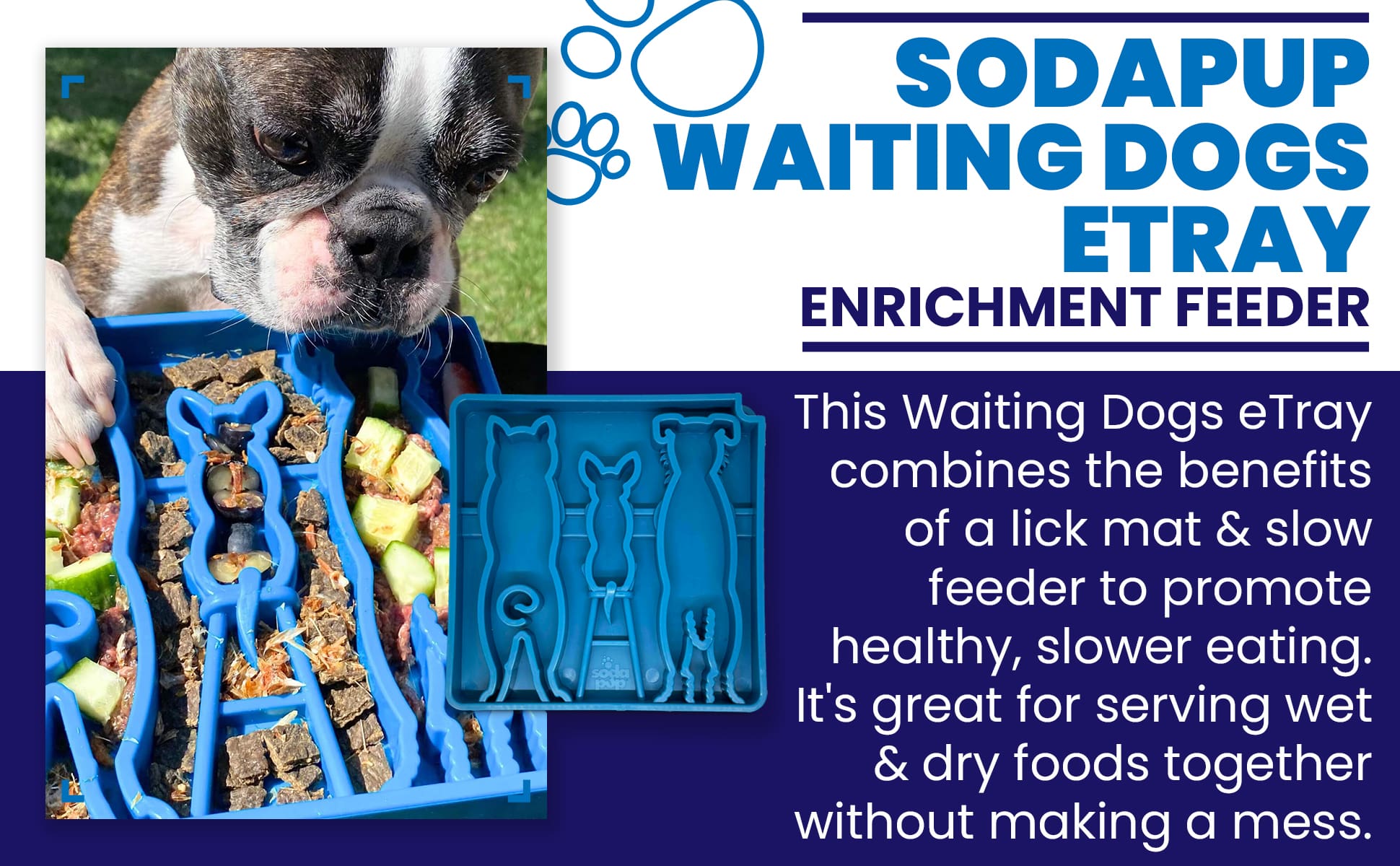 Waiting Dogs Slow Feeder Dog Bowl for Enrichment - 8"w x 8" h x 2" deep