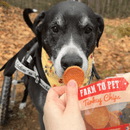 Turkey Chips Snack Pack Bundles | Low Allergen Treats for Training