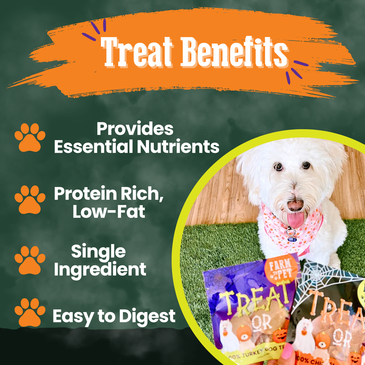 Halloween Dog Treat - Snack Pack Bundle
