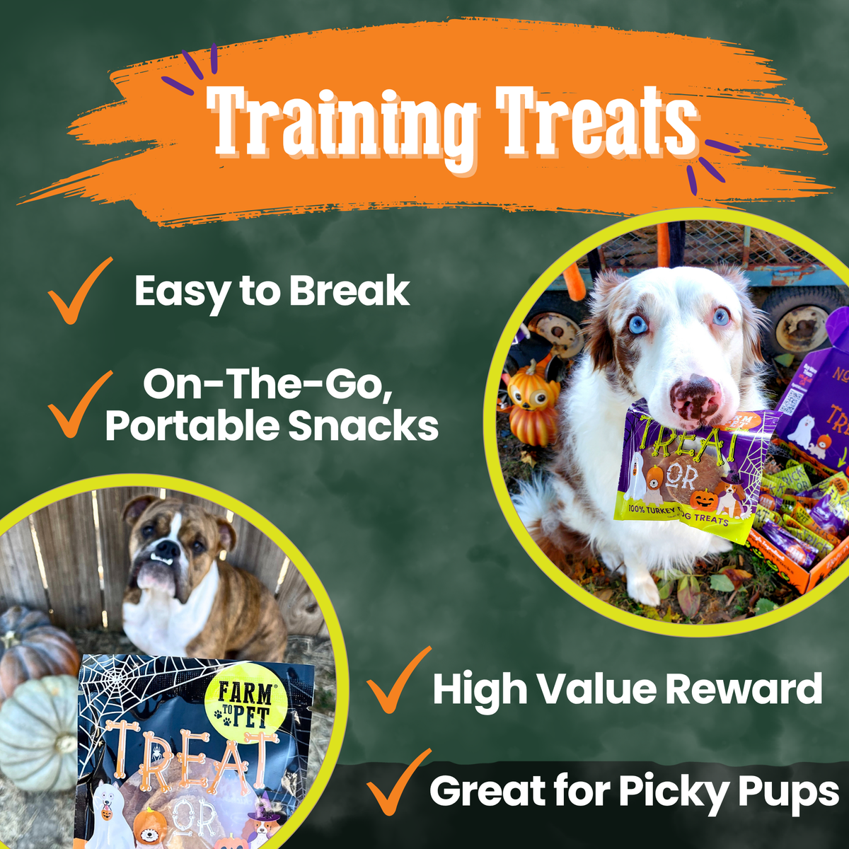 Halloween Dog Treat - Snack Pack Bundle