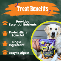 Trick or Treat Chip Mix - Halloween Dog Treats
