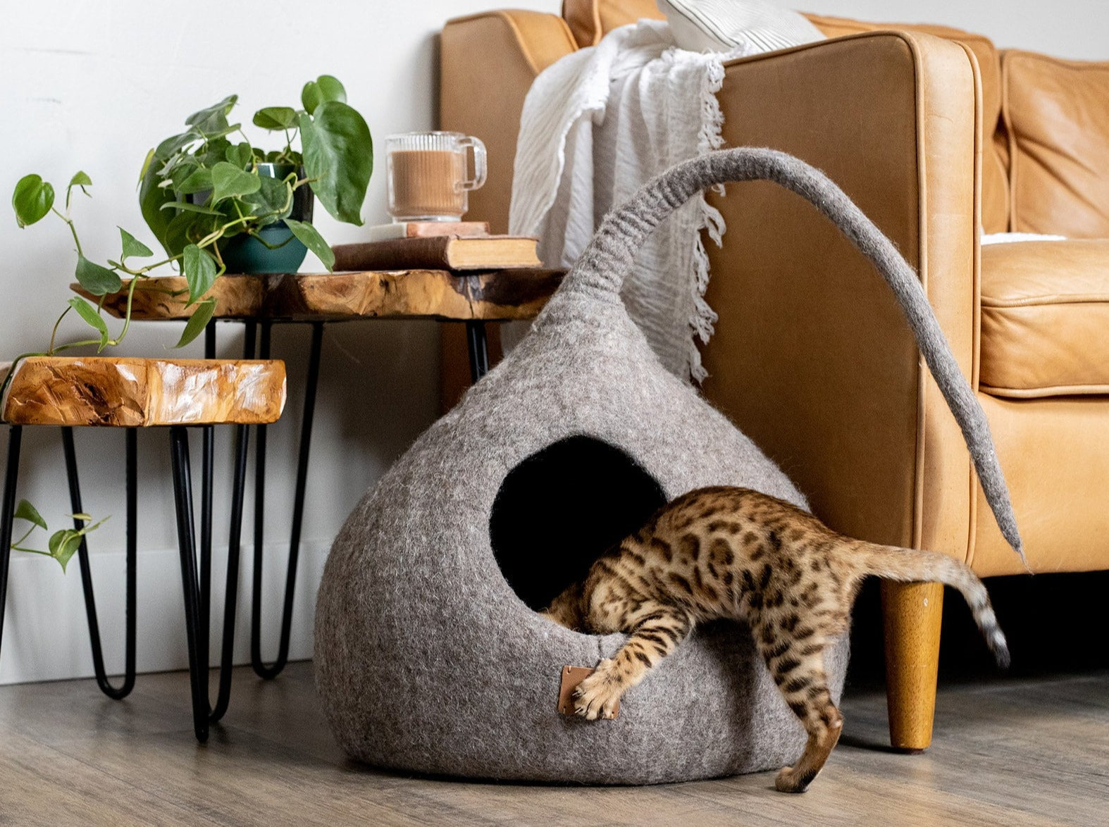 Whimsical Cat Tail Cave Bed