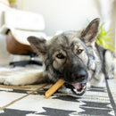 Natural Dental Sticks - Large - 14 oz
