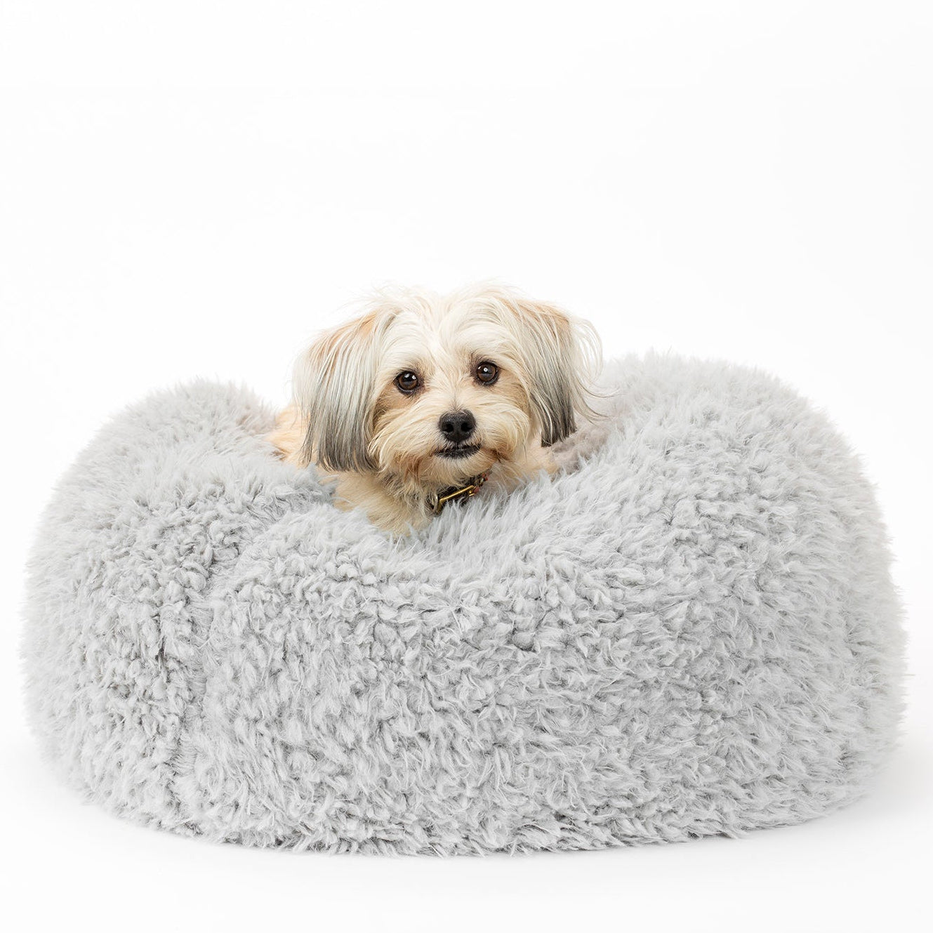 POD Pet Bed