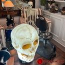 Giant Halloween Skull Animatronic Lamp Prop: 20" Tall, Heavy-Duty