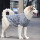 Pet Sweatshirt