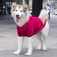 Pet Sweatshirt