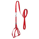 Step-In Nylon Dog Harness + Optional Flower Dog Leash