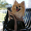 Pet Carrier Backpack - Airline Approved