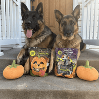 Trick or Treat Chip Mix - Halloween Dog Treats