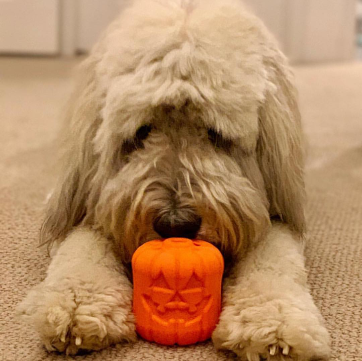 Jack O' Lantern Dog Toy - Treat Dispenser