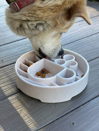 Java Slow Feeder Dog Bowl for Enrichment - 8" diameter x 2" deep