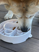 Java Slow Feeder Dog Bowl for Enrichment - 8" diameter x 2" deep