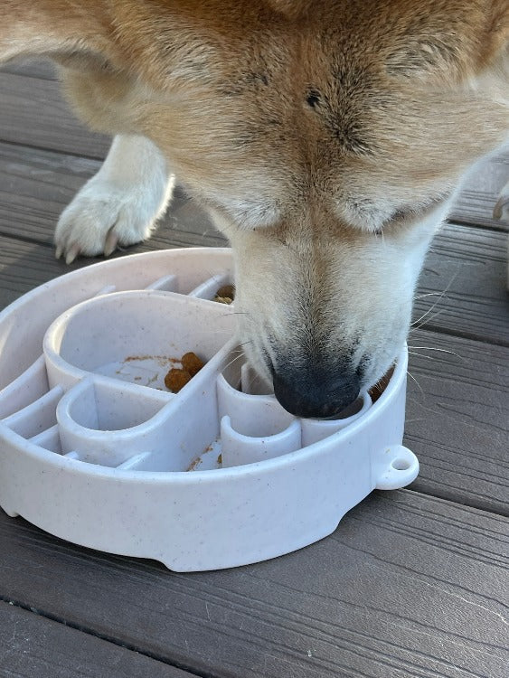 Java Slow Feeder Dog Bowl for Enrichment - 8" diameter x 2" deep