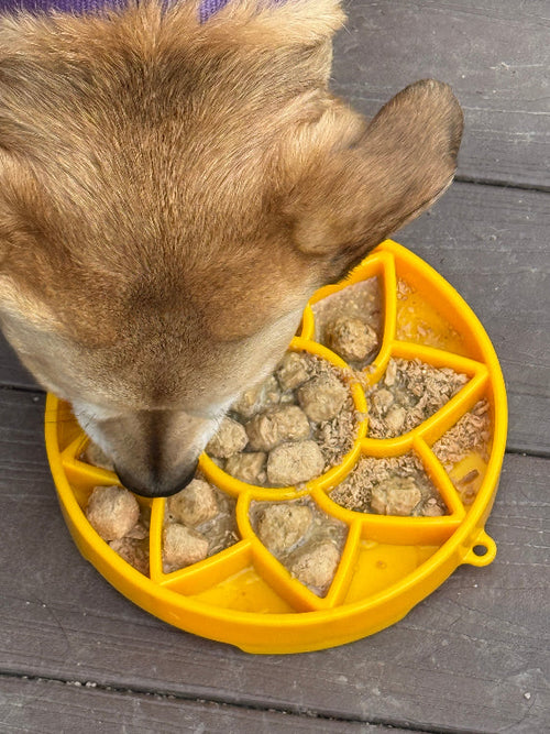 Sunflower Slow Feeder Dog Bowl for Enrichment - 8" diameter x 1.5" deep
