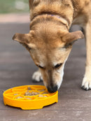 Sunflower Slow Feeder Dog Bowl for Enrichment - 8" diameter x 1.5" deep
