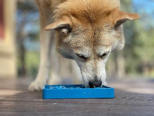 Waiting Dogs Slow Feeder Dog Bowl for Enrichment - 8"w x 8" h x 2" deep