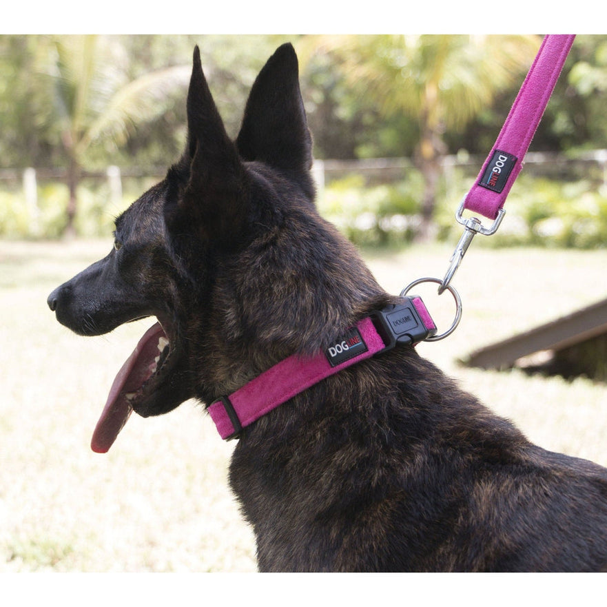 Comfort Microfiber Flat Pet Collar - Durable Plastic Buckle