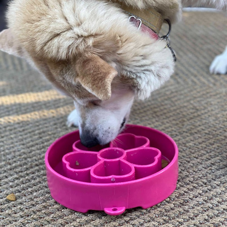 Flower Slow Feeder Dog Bowl for Enrichment - 8" diameter x 2" deep