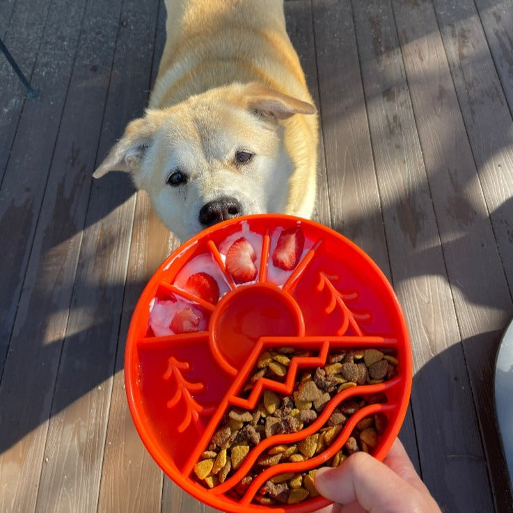 Great Outdoors Slow Feeder Dog Bowl for Enrichment - 8" diameter x 2" deep