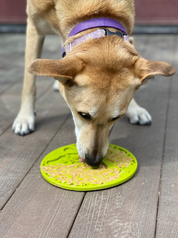 Tree of Life Enrichment Lick Mat with Suction Cups - 8"