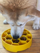 Honeycomb Slow Feeder Dog Bowl for Enrichment - 8" diameter x 2" deep