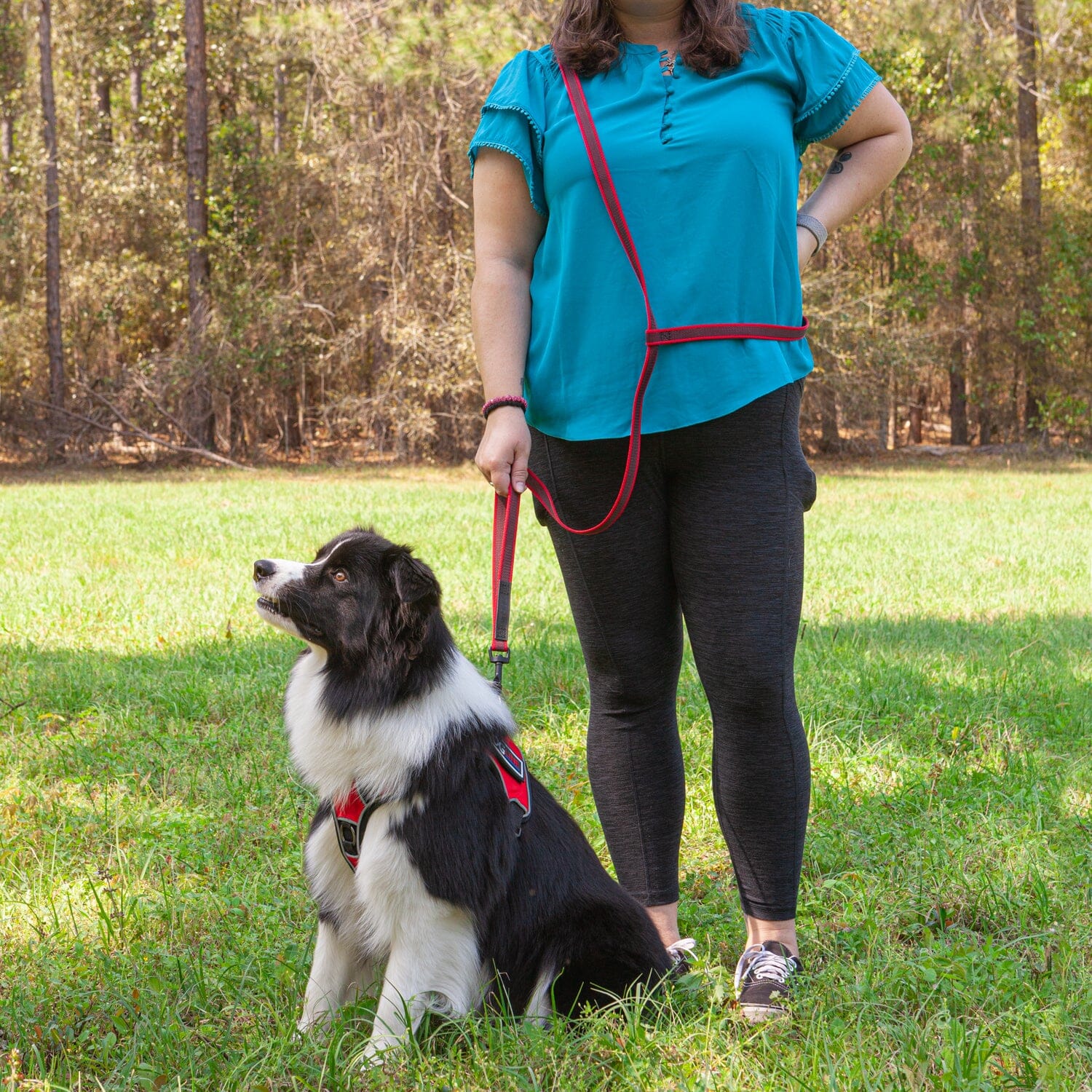 Rubber Infused Nylon Multifunctional Dog Leash for Walking and Running Hands Free