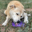 Water Frog Slow Feeder Dog Bowl for Enrichment - 8" diameter x 1.5" deep