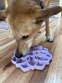 Mandala SOFT Slow Feeder Dog Bowl for Enrichment - 8" diameter x 1" deep