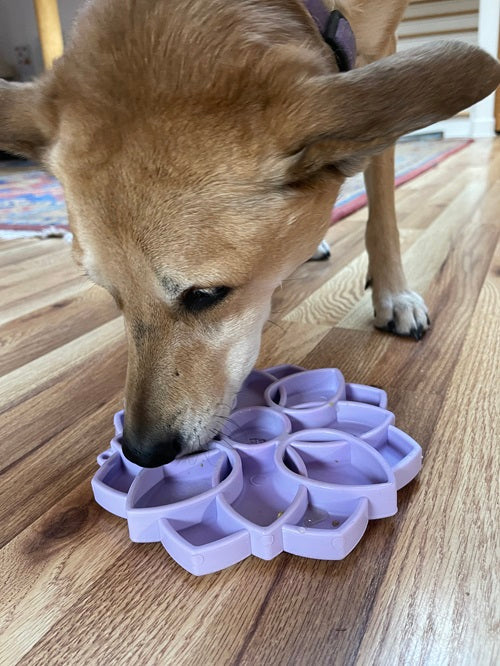 Mandala SOFT Slow Feeder Dog Bowl for Enrichment - 8" diameter x 1" deep