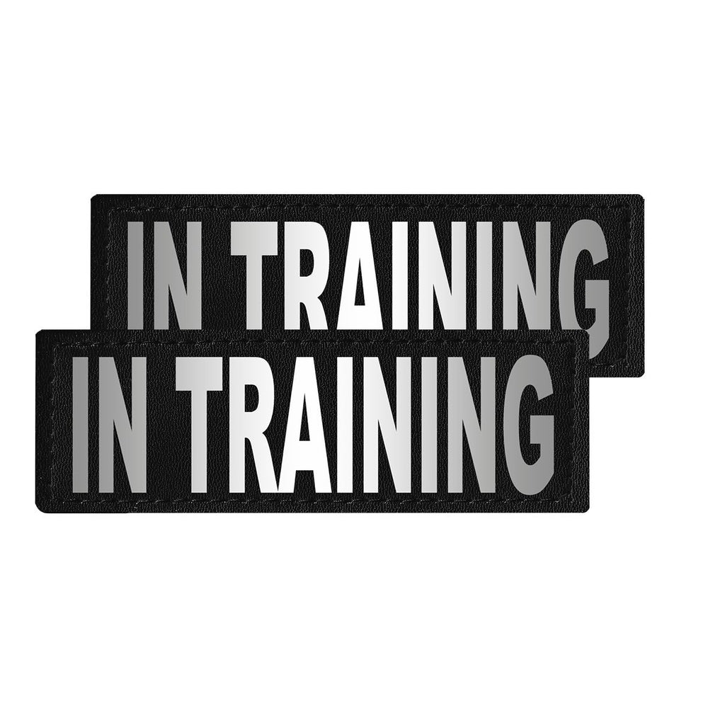 Two black patches with 'IN TRAINING' text on a white background