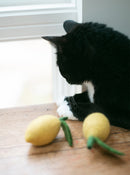 Lemon Wool Dog & Cat Toy