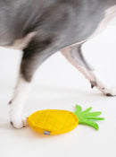 Pineapple Catnip Toy
