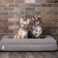 Luxury Orthopedic Dog Bed - Wasatch Pup