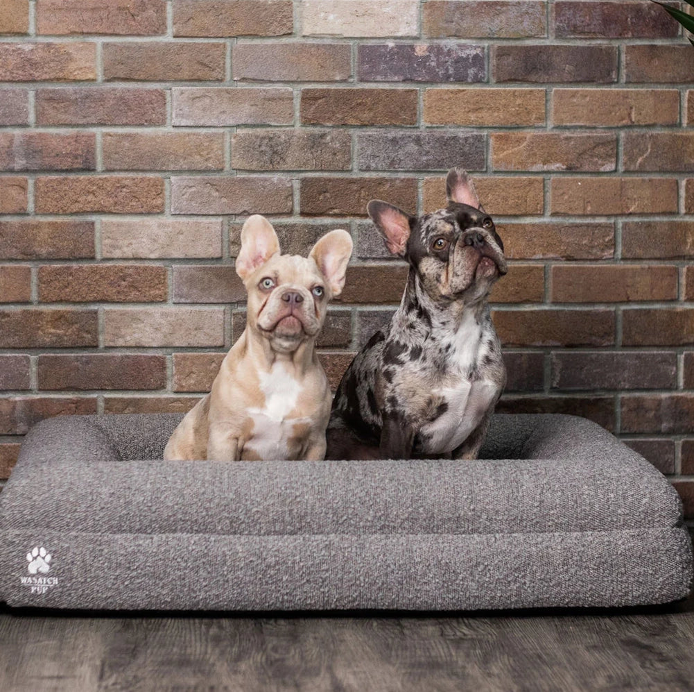 Luxury Orthopedic Dog Bed - Wasatch Pup