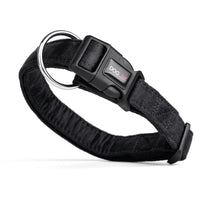Comfort Microfiber Flat Dog Collar