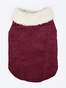 Corduroy Classic Pet Coat by MODERNBEAST