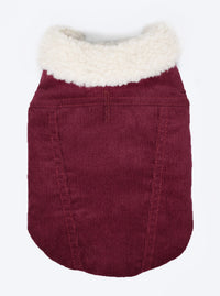 Corduroy Classic Pet Coat by MODERNBEAST