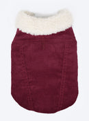 Corduroy Classic Pet Coat by MODERNBEAST