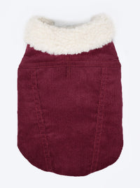 Corduroy Classic Pet Coat by MODERNBEAST